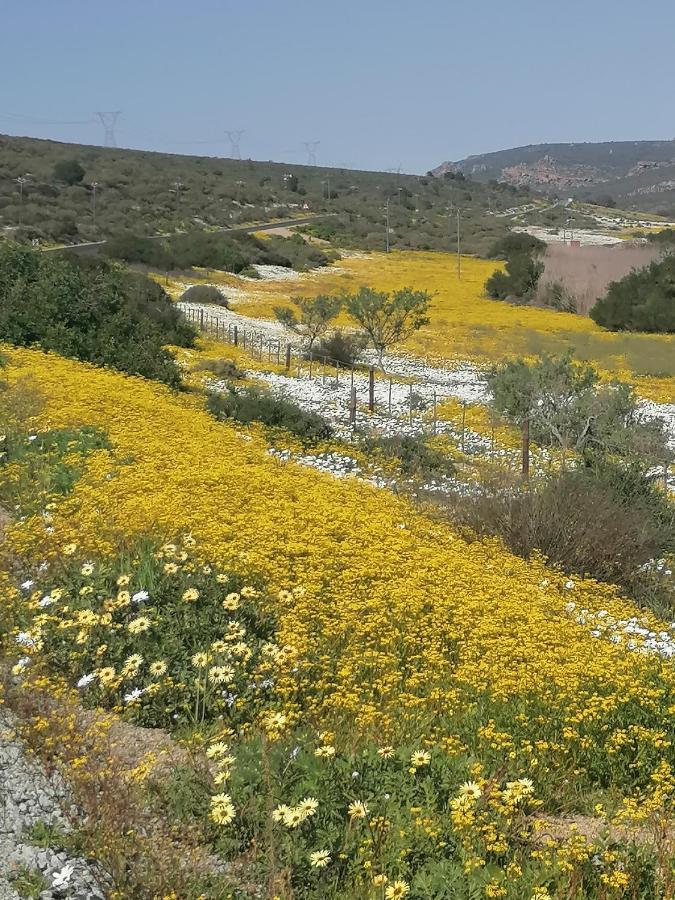 Bokkomblommetjie Lambert's Bay Luaran gambar
